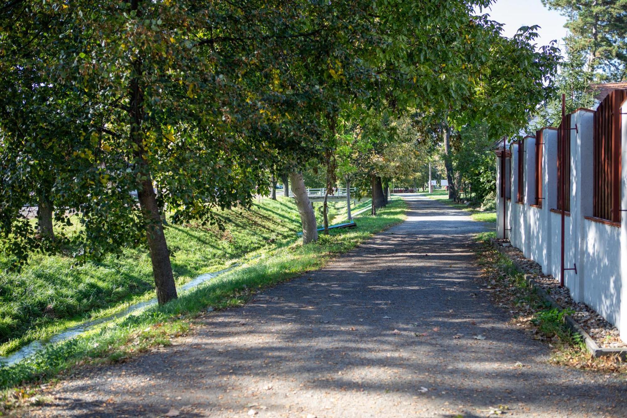 Penzion Lederer Dolni Dunajovice Exterior photo