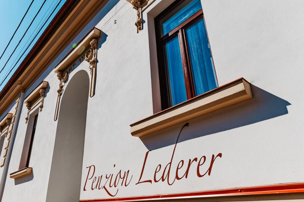 Penzion Lederer Dolni Dunajovice Exterior photo